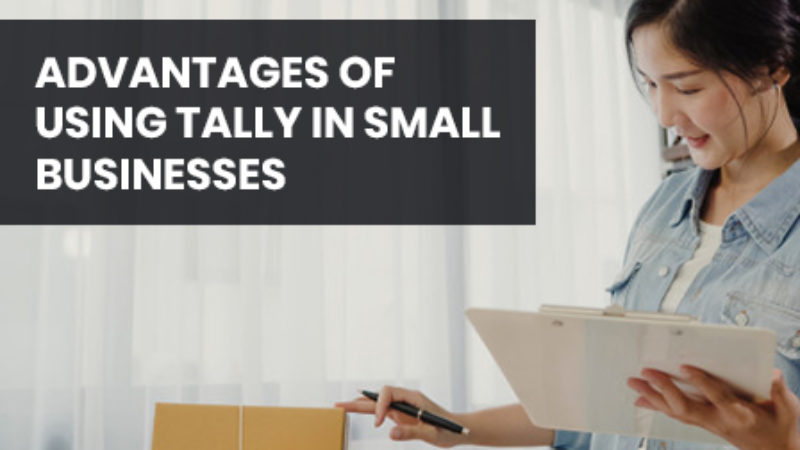 ADVANTAGES OF USING TALLY IN SMALL BUSINESSES