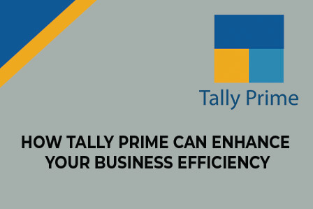 tally prime software benefits