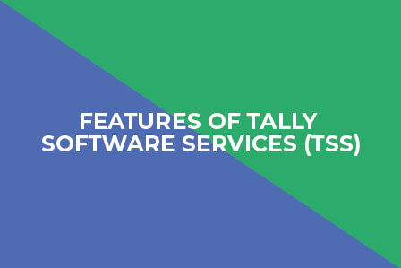 features of tally software