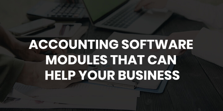 tally accounting software modules