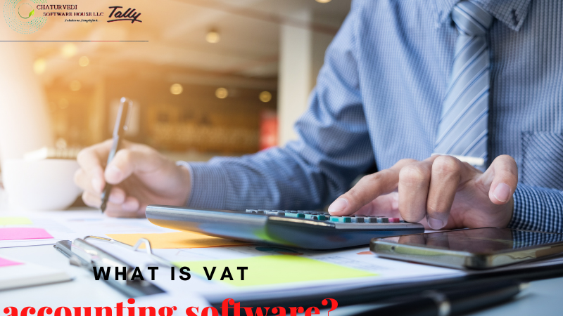 What is a VAT audit software application