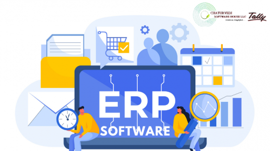 Best Customized ERP Software Solution in Dubai