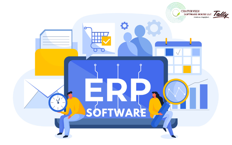 Best Customized ERP Software Solution in Dubai | Tally Software Solution